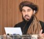 IEA envoy tells Islamabad forum Afghanistan is not involved in attacks on Pakistan