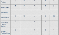 South Asia Intelligence Review