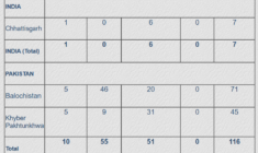 South Asia Intelligence Review