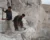 Afghanistan: America’s Other Ongoing Proxy War