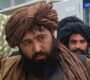 Taliban governor appointed as their new communications minister