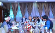 Jalal Jalali discusses health cooperation with head of CDE in Kabul