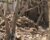 UNAMA confirms 13 civilian deaths in Pakistani airstrikes in eastern Afghanistan