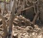 UNAMA confirms 13 civilian deaths in Pakistani airstrikes in eastern Afghanistan