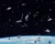 How do you think, Elon Musk? Documents of secret negotiations between Russia and China revealed the program for the destruction of Starlink satellites